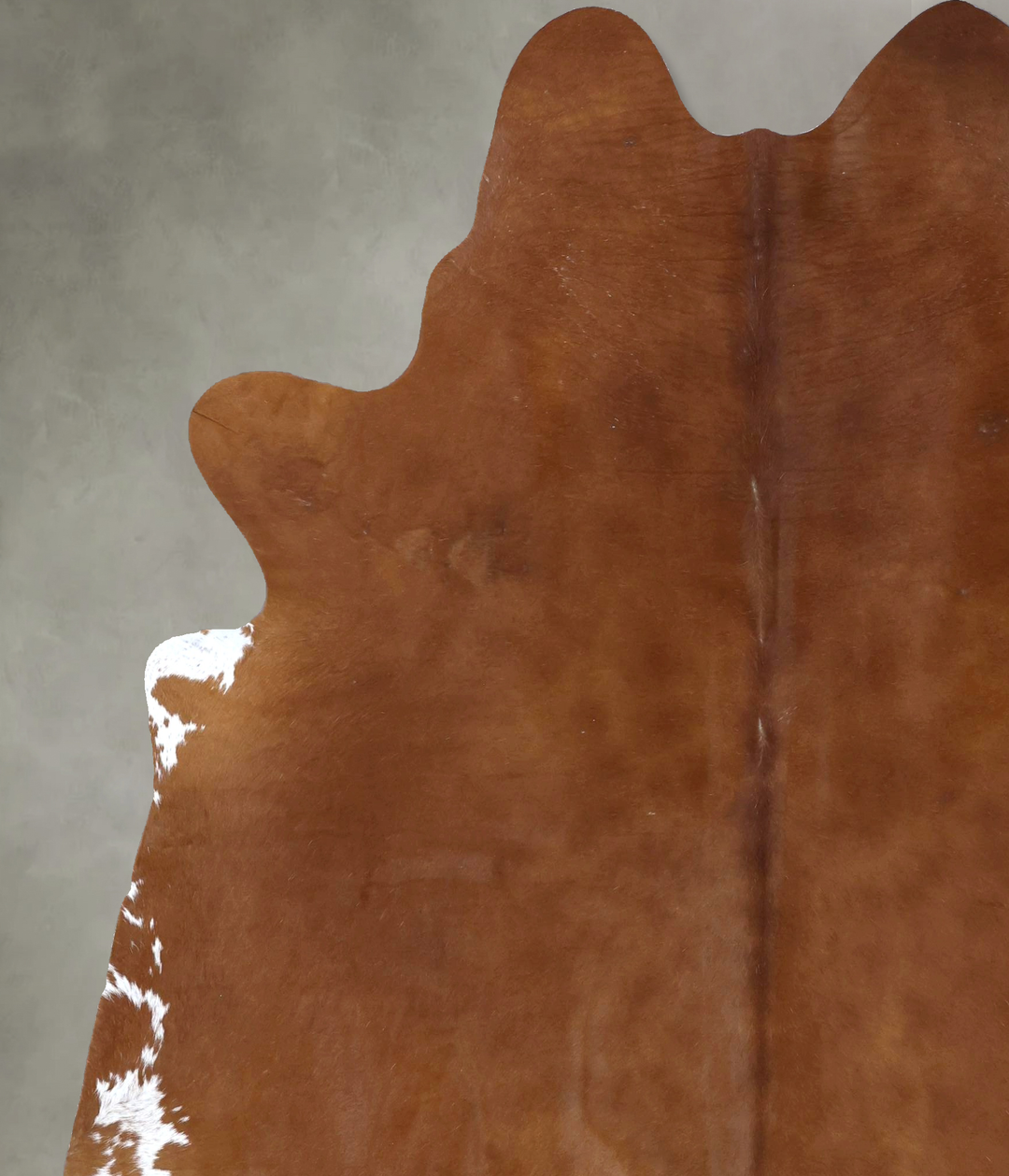 Solid Brown XX-Large Brazilian Cowhide Rug 7'11"H x 6'9"W #B20015 by H