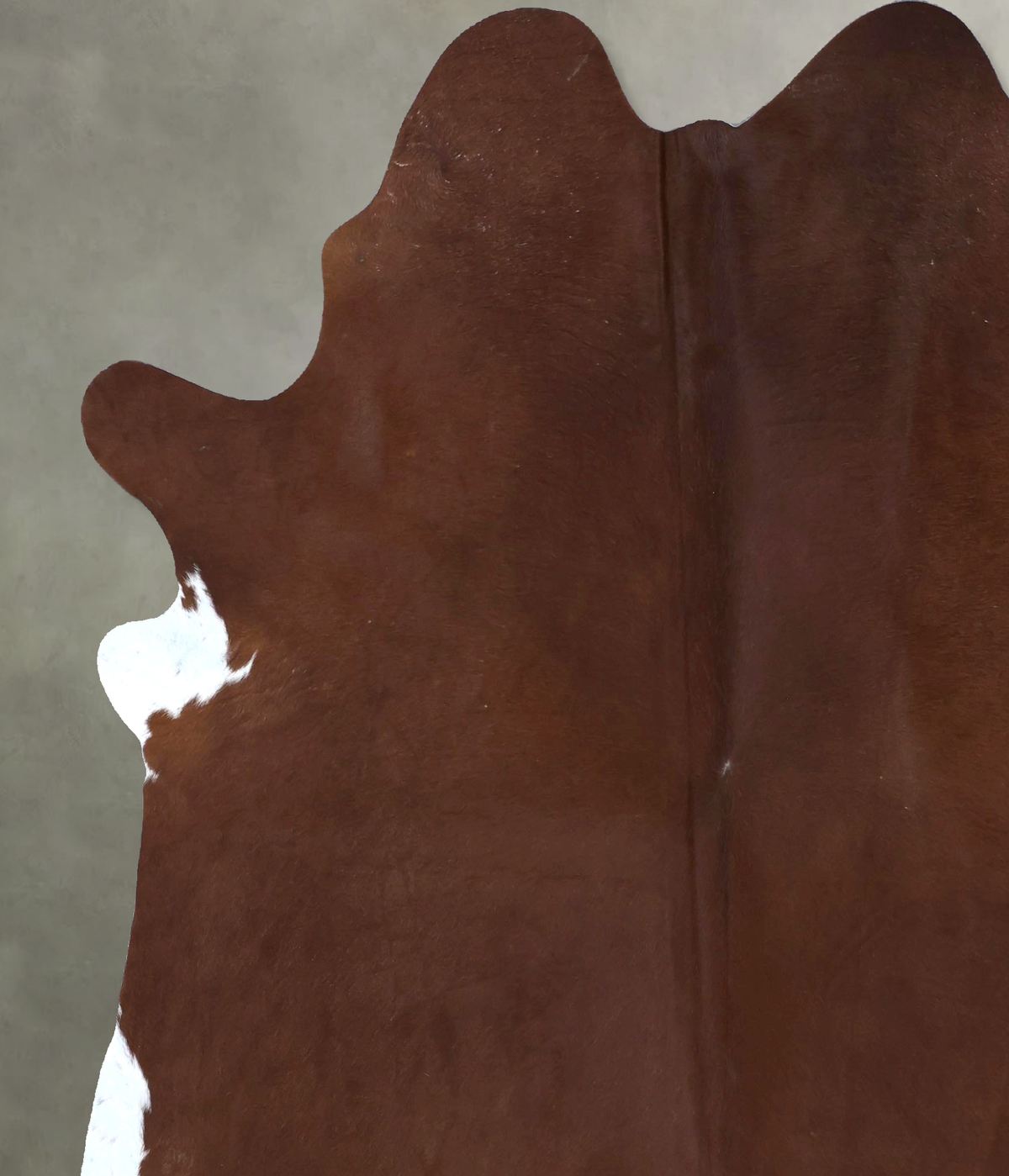 Solid Brown X-Large Brazilian Cowhide Rug 7'6"H x 6'4"W #B20017 by Hudson Hides