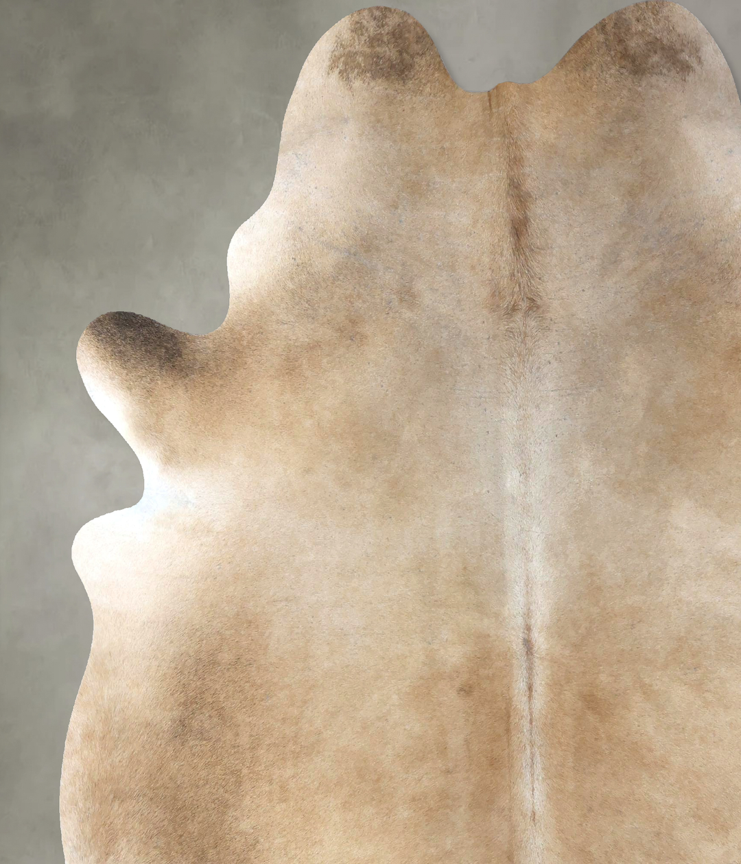 Light Caramel XX-Large Brazilian Cowhide Rug 8'0"H x 6'9"W #B20020 by 