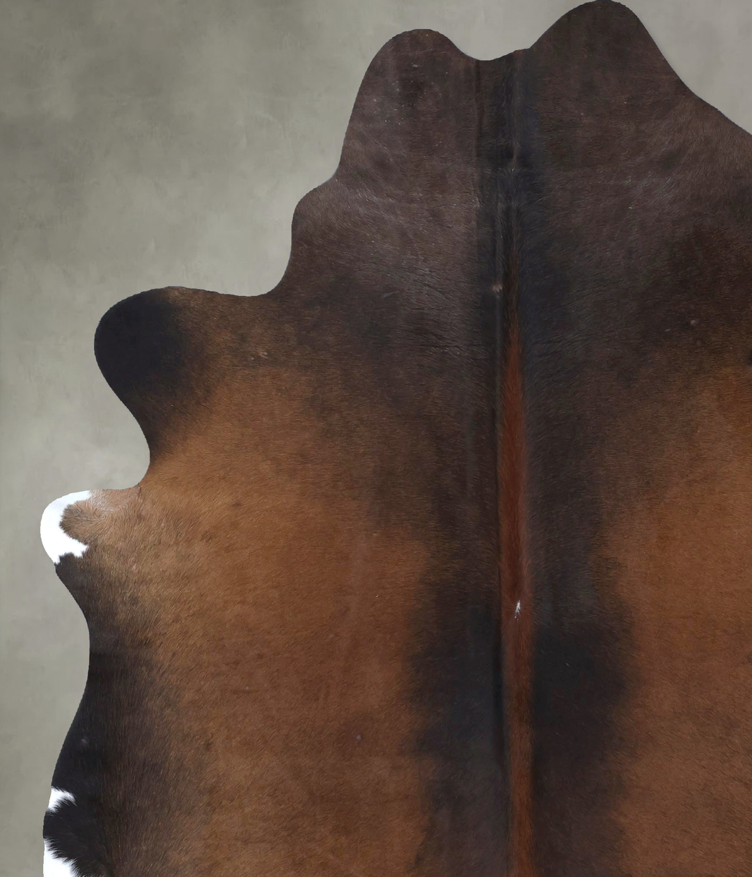 Warm Caramel XX-Large Brazilian Cowhide Rug 7'8"H x 6'7"W #B20022 by H
