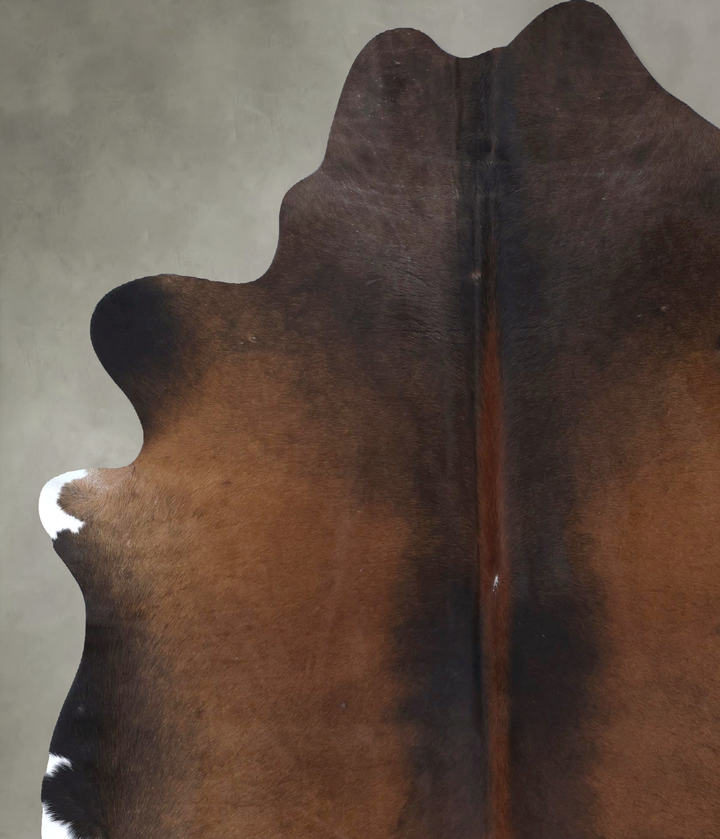 Warm Caramel XX-Large Brazilian Cowhide Rug 7'8"H x 6'7"W #B20022 by Hudson Hides