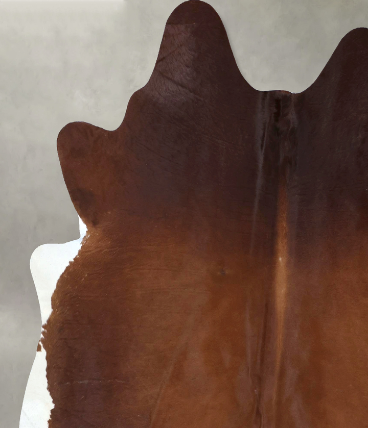 Warm Caramel XX-Large Brazilian Cowhide Rug 7'6"H x 6'8"W #B20027 by Hudson Hides
