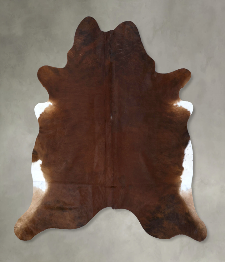 Medium Brindle X-Large Brazilian Cowhide Rug 7'2"H x 7'0"W #B20028 by Hudson Hides
