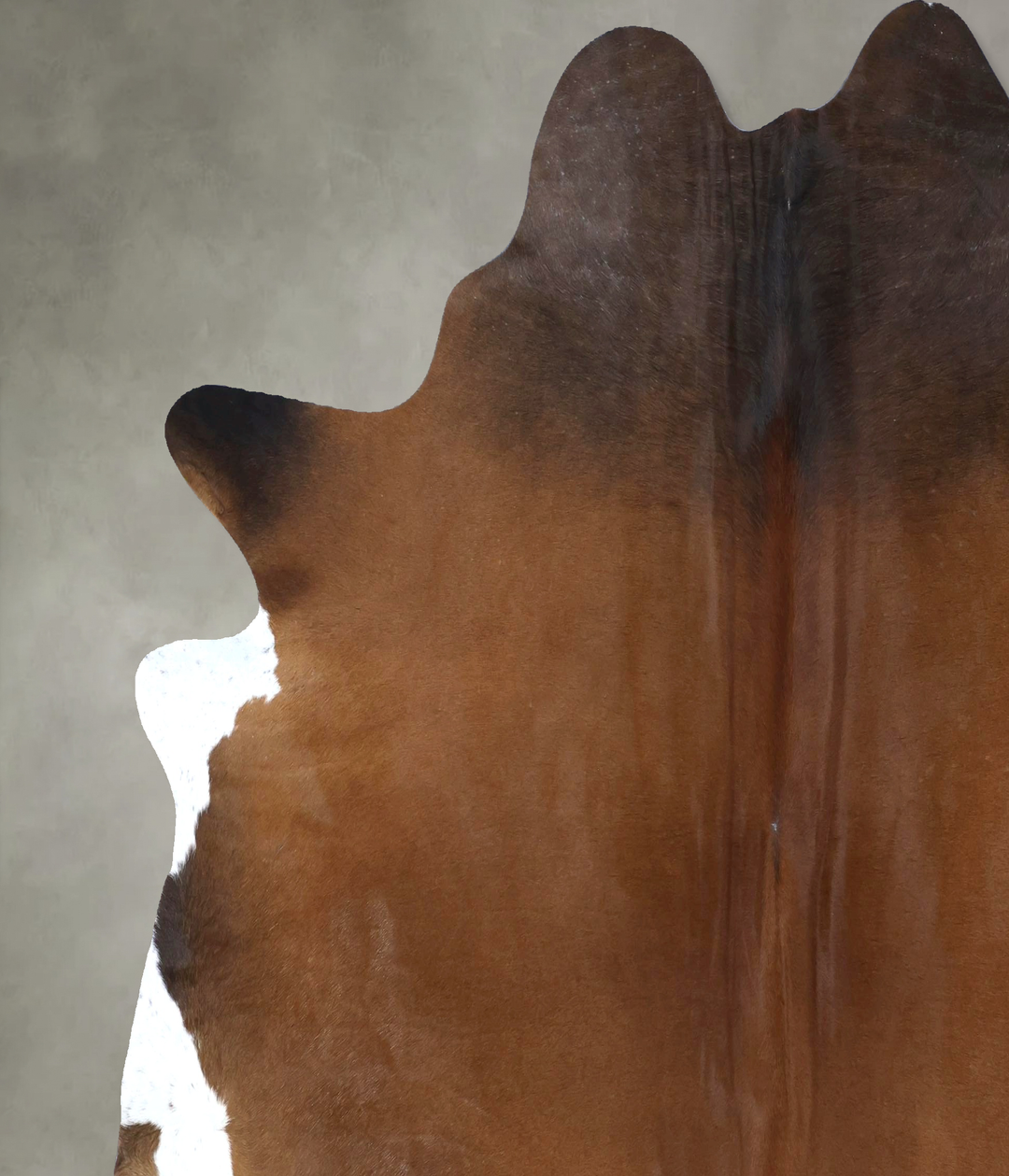 Warm Caramel XX-Large Brazilian Cowhide Rug 7'9"H x 7'7"W #B20038 by H