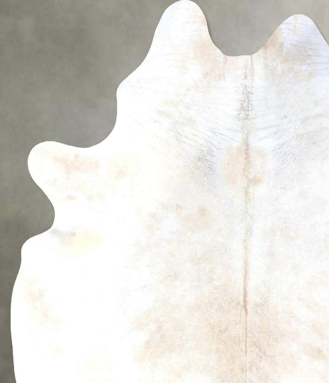 Ivory with Beige XX-Large Brazilian Cowhide Rug 8'8"H x 7'0"W #B20042 