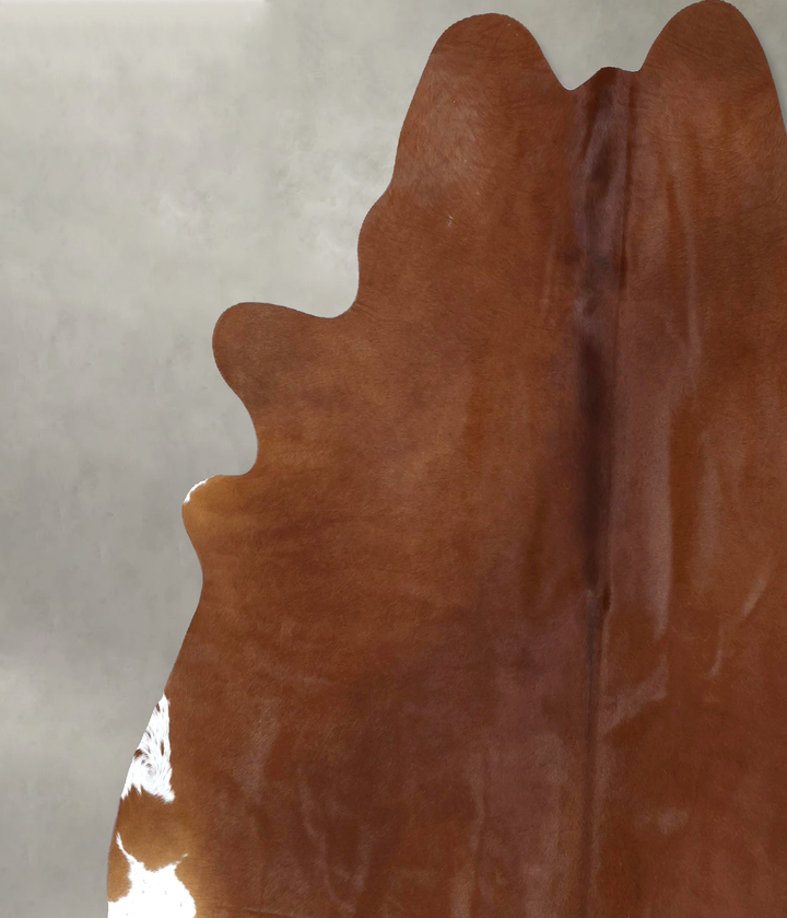 Solid Brown XX-Large Brazilian Cowhide Rug 7'3"H x 7'4"W #B20047 by Hudson Hides