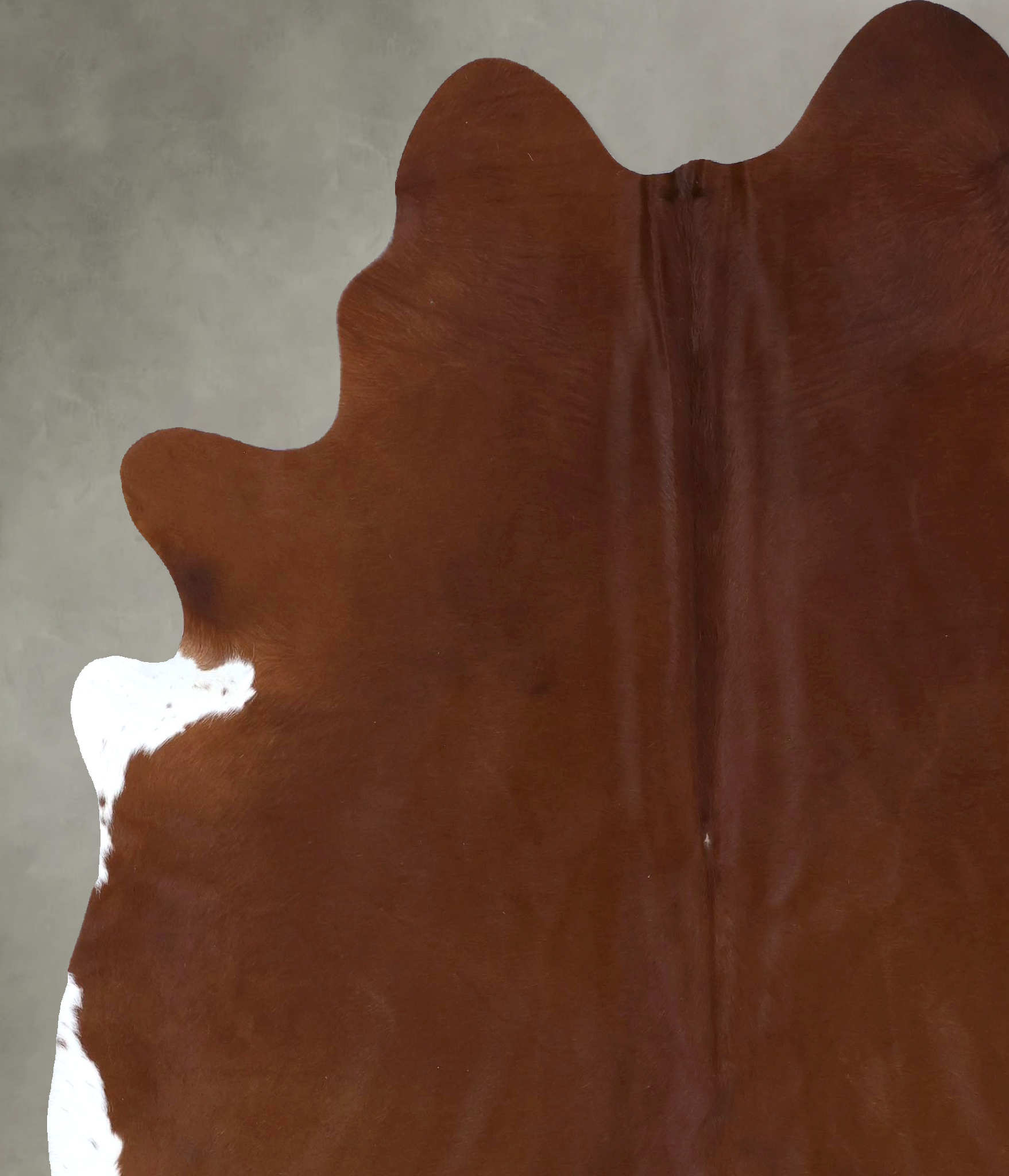 Solid Brown Cowhide Rug #B20052