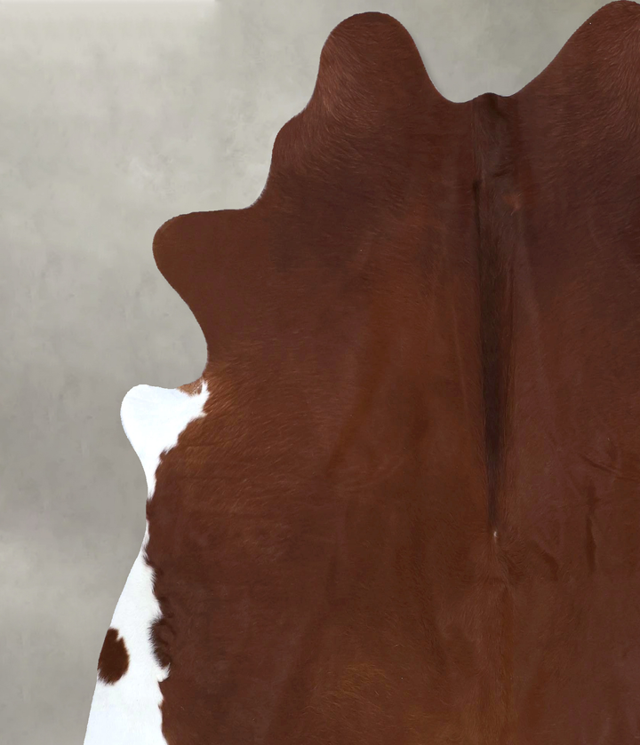 Solid Brown X-Large Brazilian Cowhide Rug 6'10"H x 6'7"W #B20055 by Hudson Hides