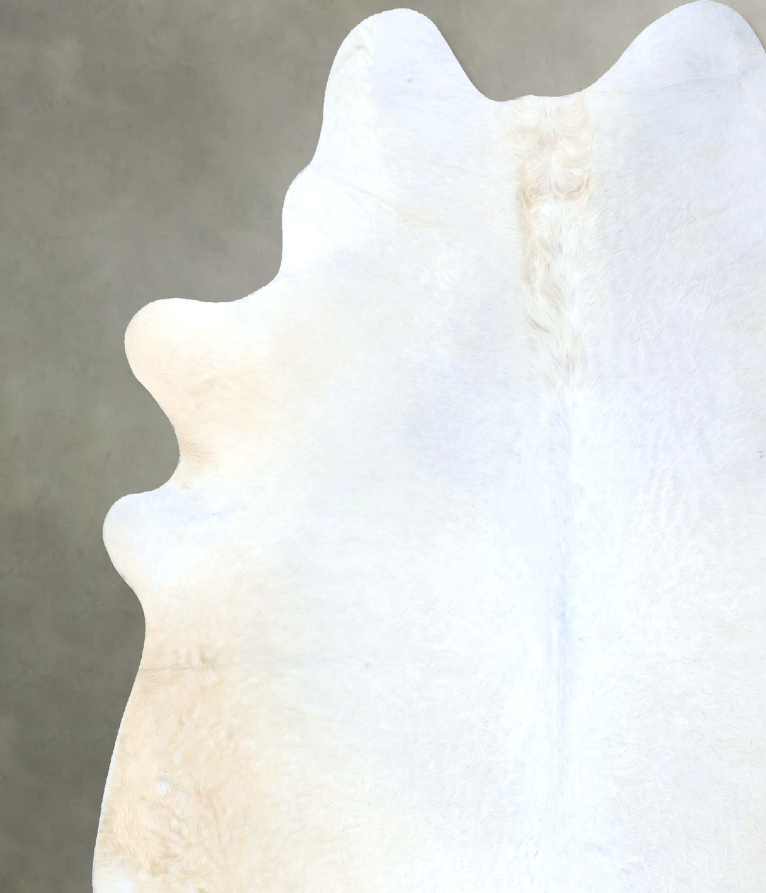 Ivory with Beige XX-Large Brazilian Cowhide Rug 7'8"H x 6'8"W #B20057 