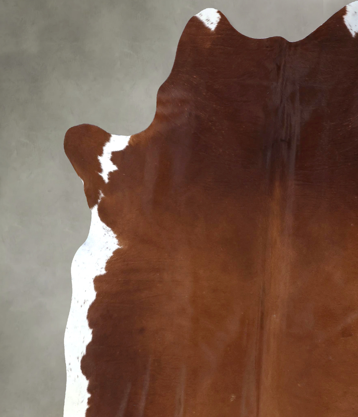 Brown and White Regular XX-Large Brazilian Cowhide Rug 7'11"H x 6'11"W #B20058 by Hudson Hides