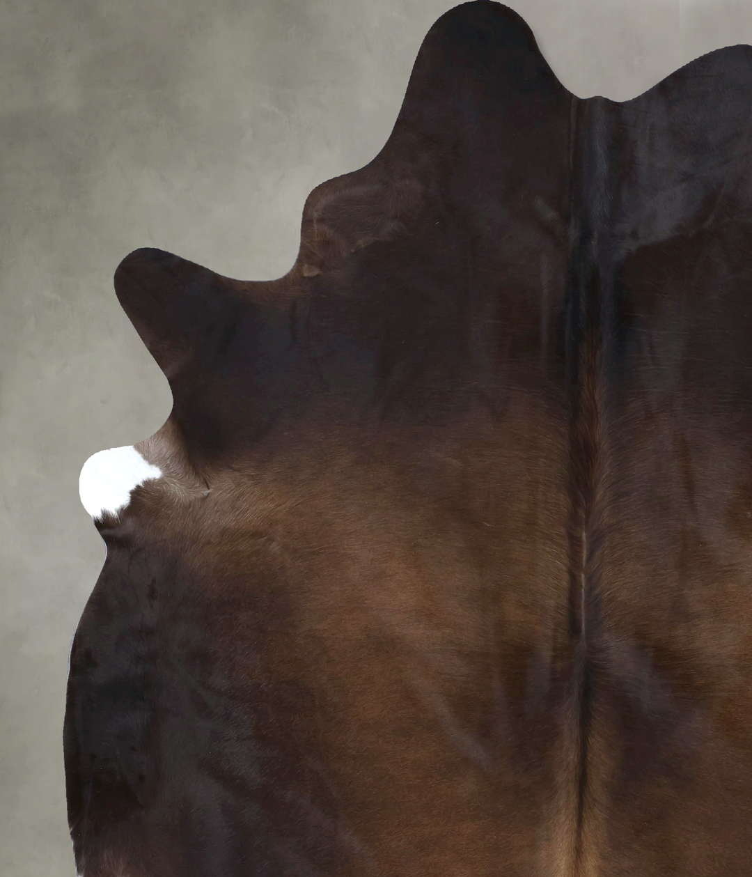 Chocolate XX-Large Brazilian Cowhide Rug 8'3"H x 6'9"W #B20064 by Huds