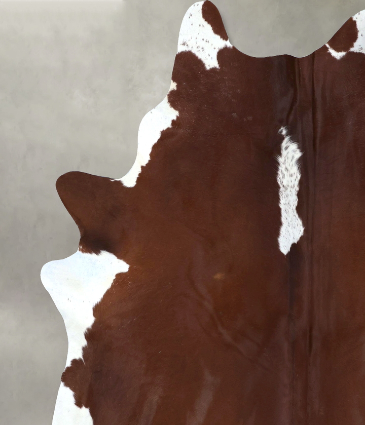Hereford XX-Large Brazilian Cowhide Rug 8'2"H x 6'11"W #B20067 by Hudson Hides