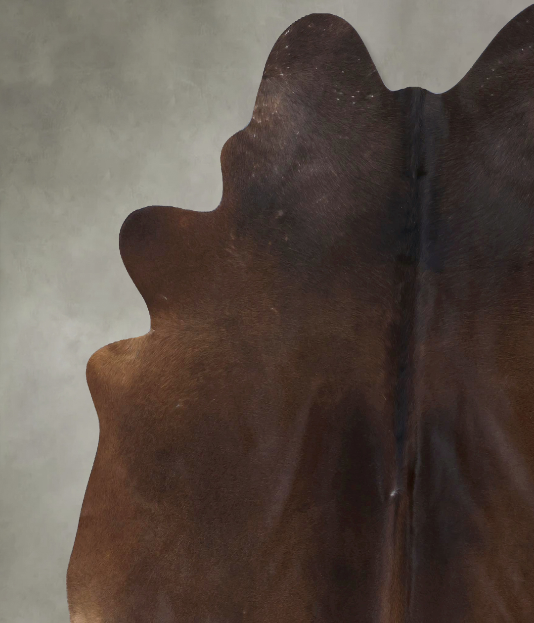 Chocolate and White XX-Large Brazilian Cowhide Rug 7'8"H x 6'10"W #B20