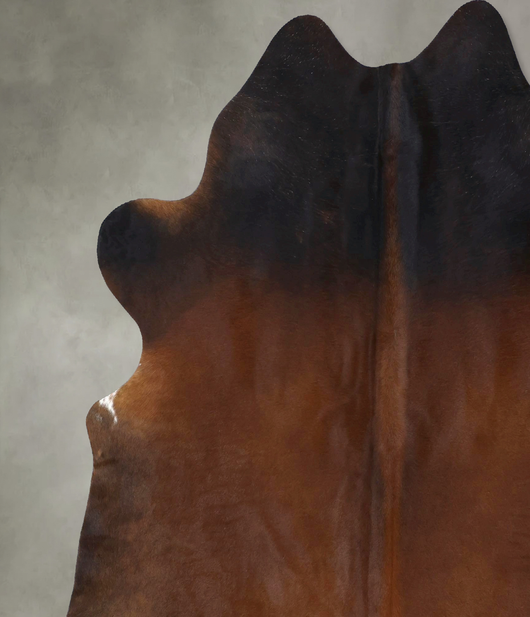 Warm Caramel XX-Large Brazilian Cowhide Rug 7'5"H x 6'9"W #B20079 by H