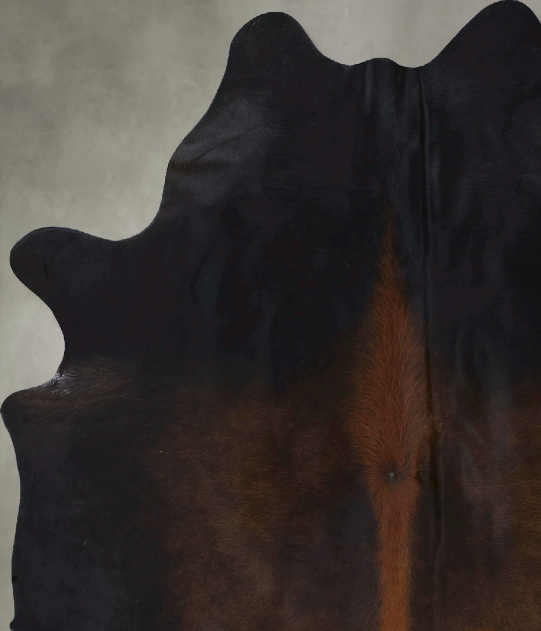 Chocolate X-Large Brazilian Cowhide Rug 7'7"H x 5'6"W #B20080 by Hudso