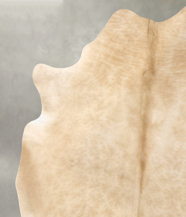 Palomino X-Large Brazilian Cowhide Rug 7'7"H x 6'2"W #B20083 by Hudson Hides