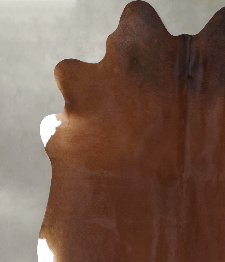 Solid Brown X-Large Brazilian Cowhide Rug 7'2"H x 6'8"W #B20086 by Hudson Hides