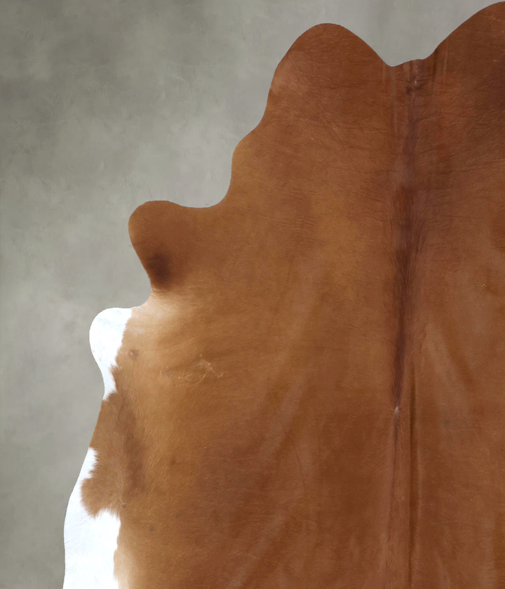 Solid Brown XX-Large Brazilian Cowhide Rug 7'8"H x 7'5"W #B20090 by Hudson Hides