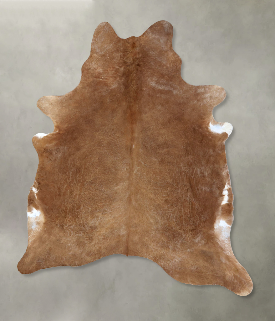 Solid Brown XX-Large Brazilian Cowhide Rug 8'2"H x 6'4"W #B20091 by Hudson Hides