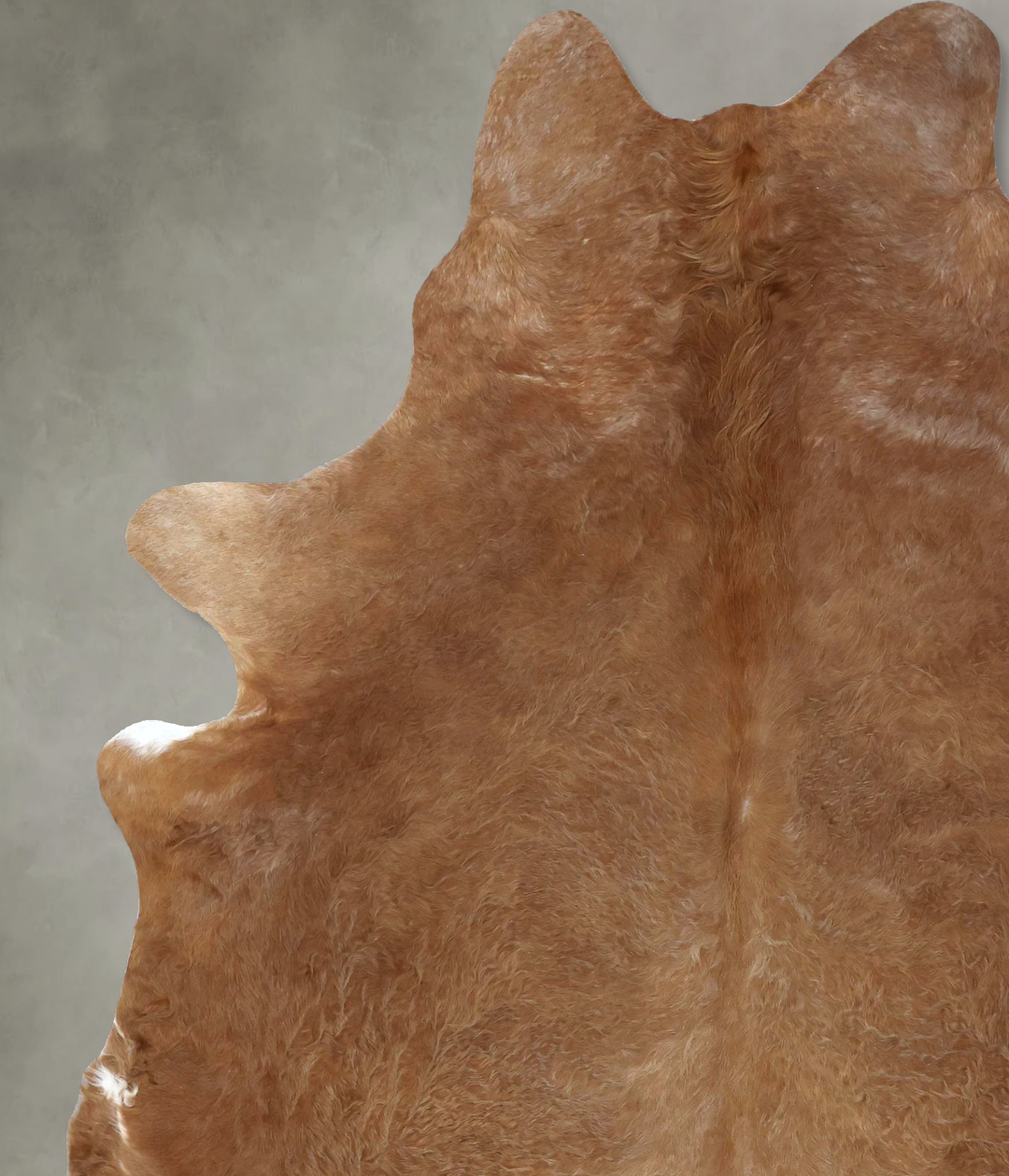 Solid Brown XX-Large Brazilian Cowhide Rug 8'2"H x 6'4"W #B20091 by Hu