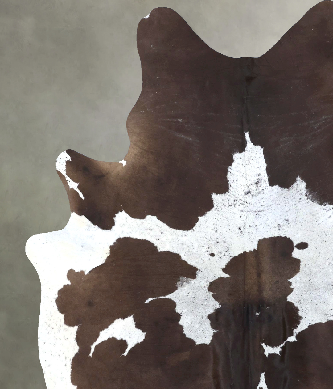 Chocolate and White X-Large Brazilian Cowhide Rug 8'0"H x 6'0"W #B2009