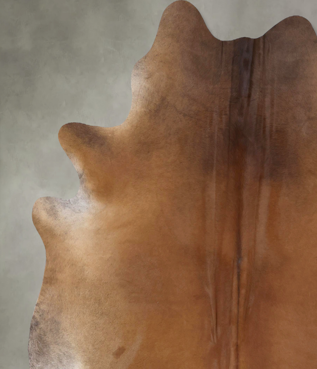 Solid Brown XX-Large Brazilian Cowhide Rug 8'2"H x 7'2"W #B20096 by Hu