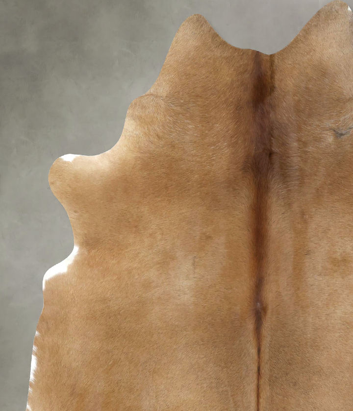 Light Caramel XX-Large Brazilian Cowhide Rug 8'0"H x 6'4"W #B20106 by Hudson Hides
