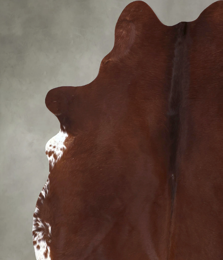 Solid Brown XX-Large Brazilian Cowhide Rug 8'4"H x 7'1"W #B20128 by Hudson Hides