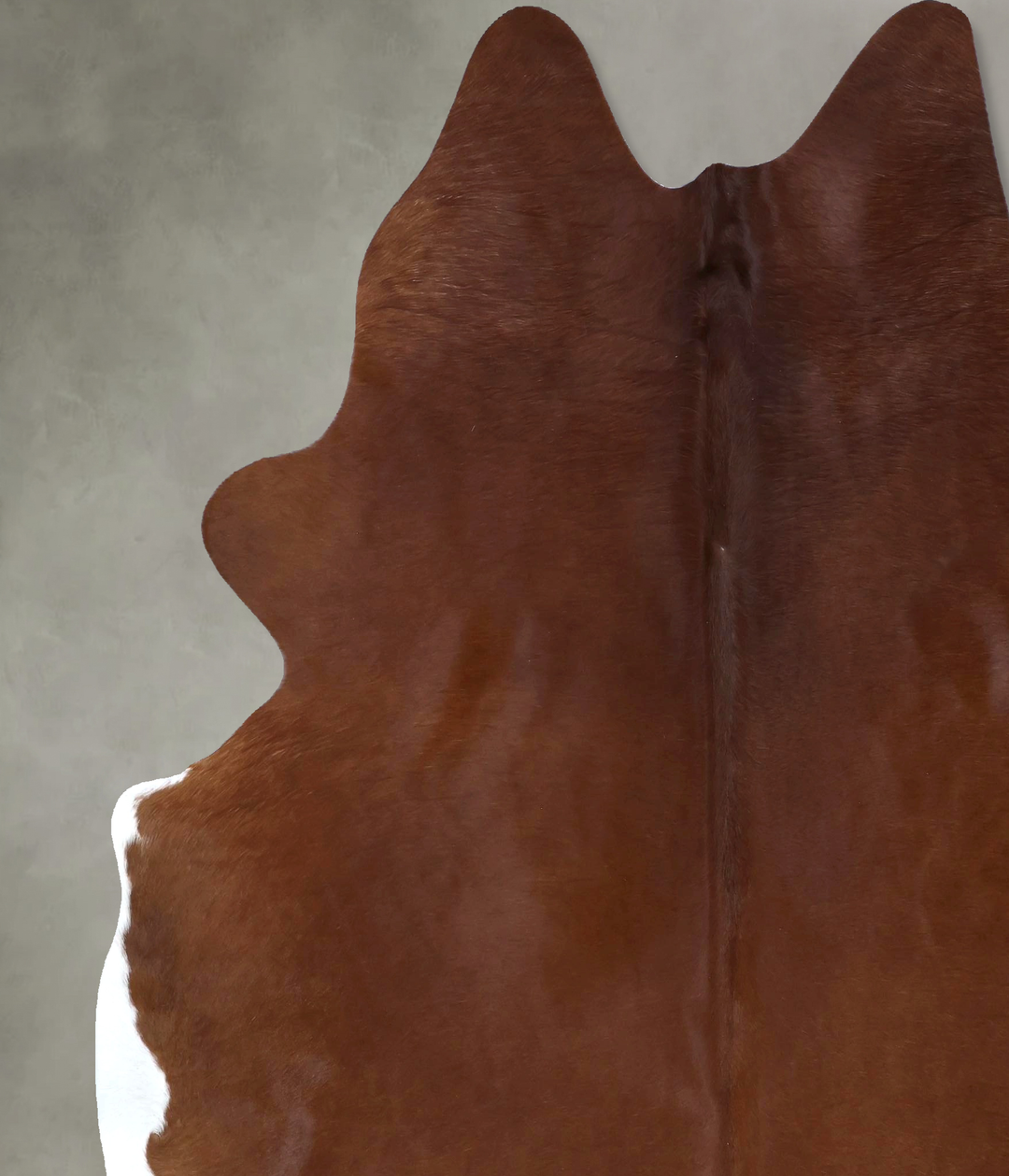 Solid Brown XX-Large Brazilian Cowhide Rug 8'0"H x 6'10"W #B20133 by H