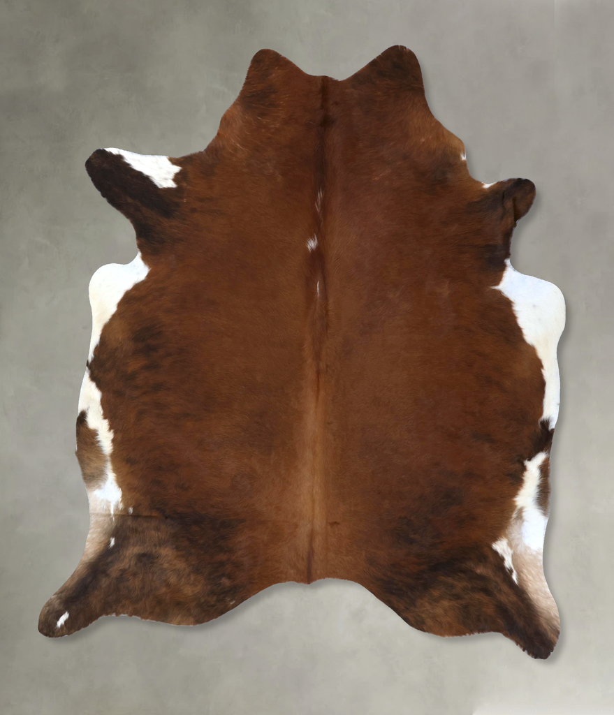 Medium Brindle XX-Large Brazilian Cowhide Rug 7'10"H x 7'1"W #B20136 by Hudson Hides