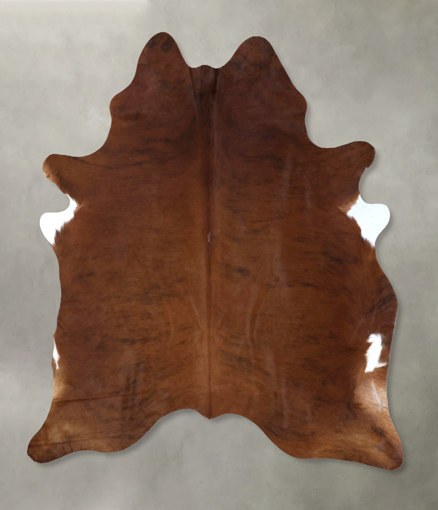 Medium Brindle X-Large Brazilian Cowhide Rug 7'7"H x 6'5"W #B20200 by Hudson Hides