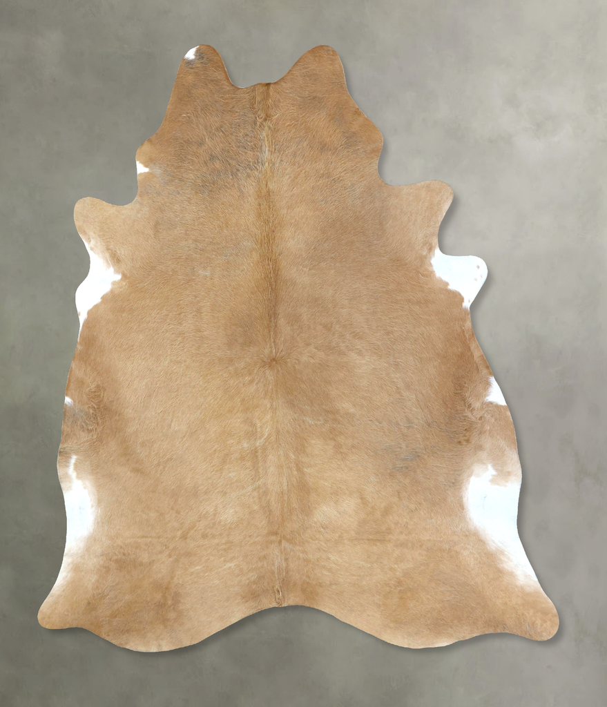 Palomino XX-Large Brazilian Cowhide Rug 8'0"H x 6'8"W #B20204 by Hudson Hides