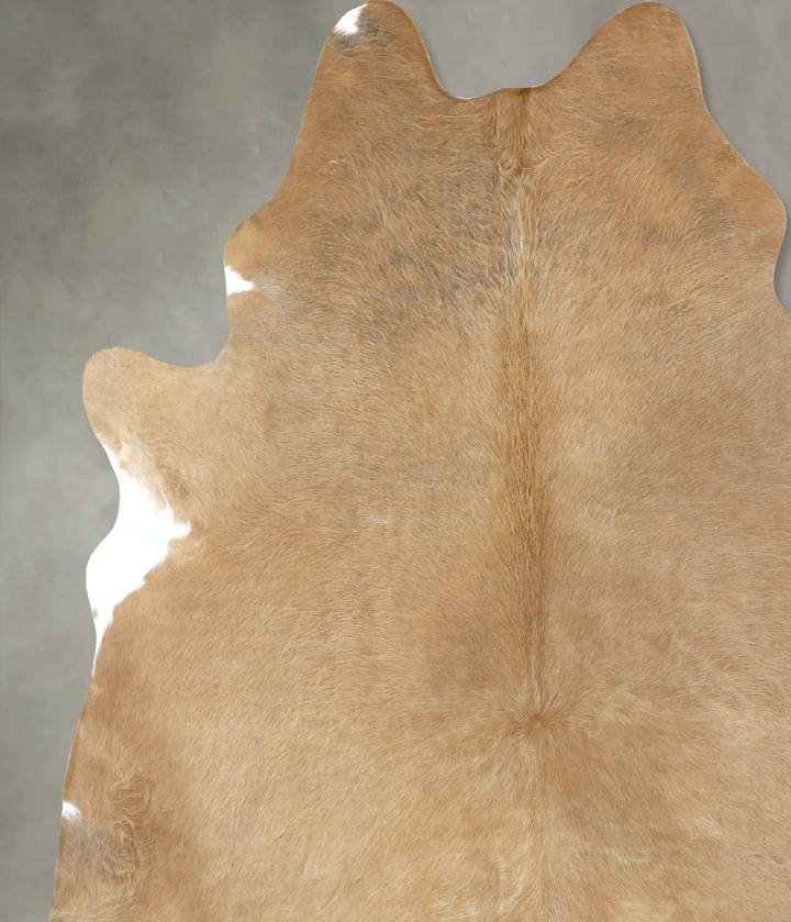 Palomino XX-Large Brazilian Cowhide Rug 8'0"H x 6'8"W #B20204 by Hudson Hides