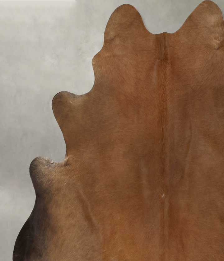 Solid Brown XX-Large Brazilian Cowhide Rug 7'9"H x 7'1"W #B20205 by Hudson Hides