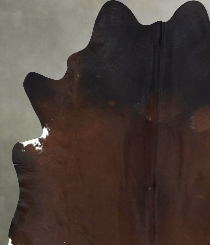 Warm Caramel X-Large Brazilian Cowhide Rug 7'3"H x 5'11"W #B20208 by Hudson Hides