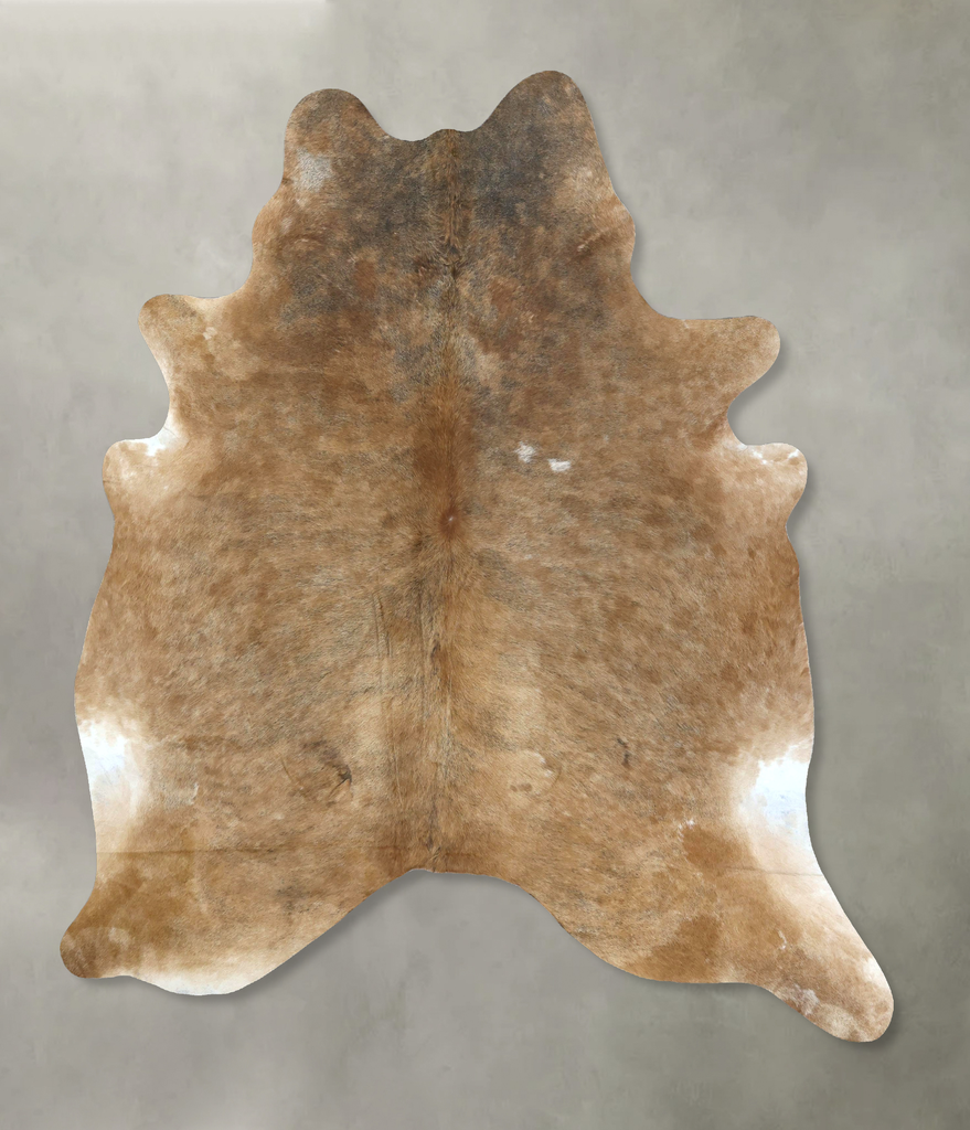 Light Caramel XX-Large Brazilian Cowhide Rug 8'3"H x 6'7"W #B20209 by Hudson Hides