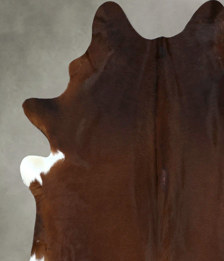 Warm Caramel XX-Large Brazilian Cowhide Rug 8'4"H x 7'4"W #B20212 by Hudson Hides
