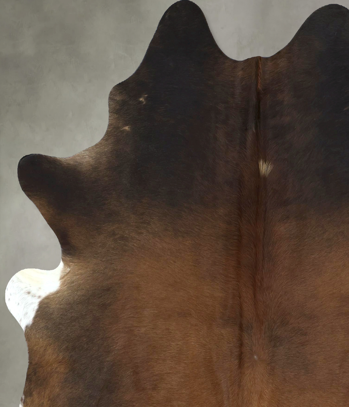 Warm Caramel X-Large Brazilian Cowhide Rug 7'4"H x 5'11"W #B20213 by Hudson Hides
