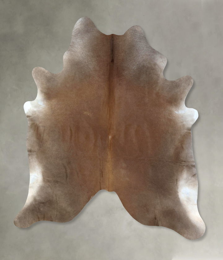Warm Caramel XX-Large Brazilian Cowhide Rug 8'5"H x 7'1"W #B20215 by Hudson Hides