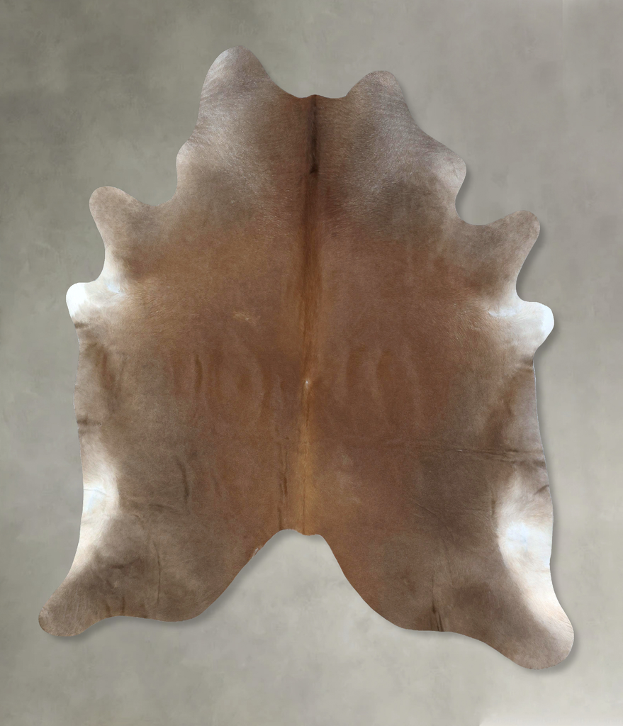 Warm Caramel XX-Large Brazilian Cowhide Rug 8'5"H x 7'1"W #B20215 by Hudson Hides