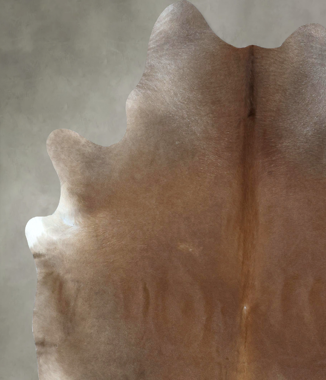 Warm Caramel XX-Large Brazilian Cowhide Rug 8'5"H x 7'1"W #B20215 by H