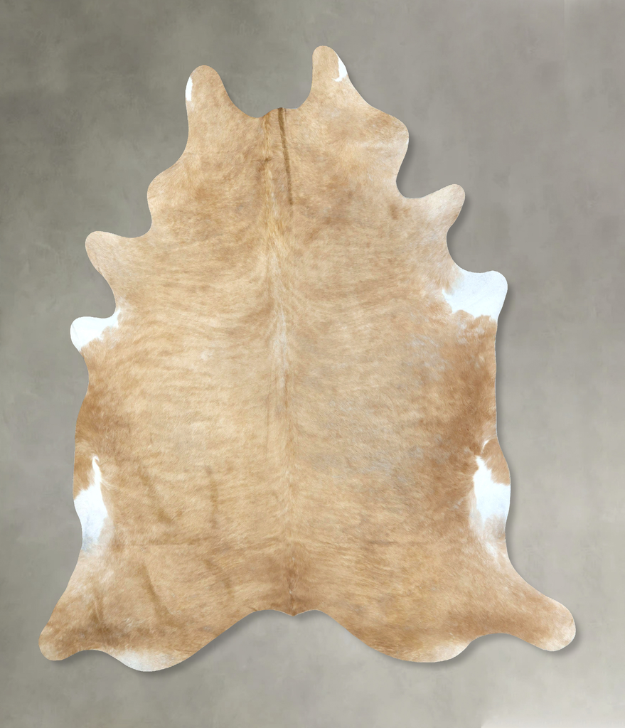 Palomino XX-Large Brazilian Cowhide Rug 8'7"H x 7'5"W #B20219 by Hudson Hides