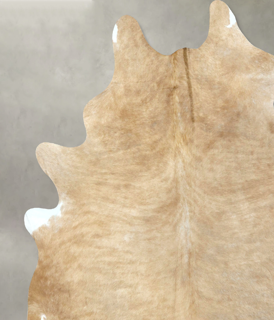 Palomino XX-Large Brazilian Cowhide Rug 8'7"H x 7'5"W #B20219 by Hudso