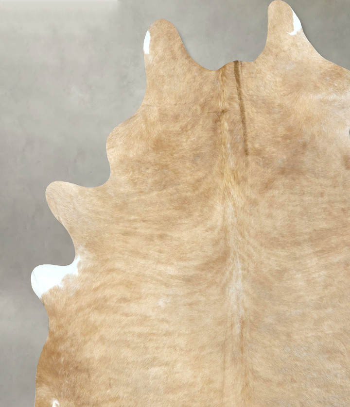 Palomino XX-Large Brazilian Cowhide Rug 8'7"H x 7'5"W #B20219 by Hudson Hides