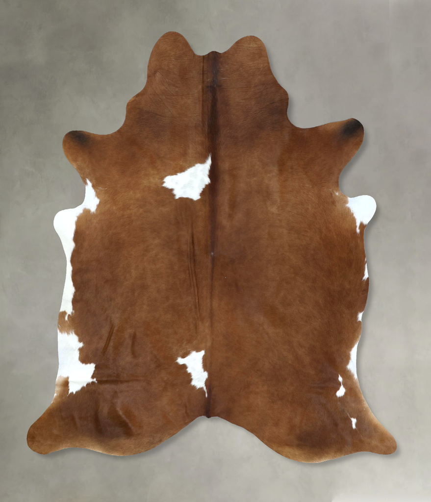 Brown and White Regular XX-Large Brazilian Cowhide Rug 7'11"H x 6'7"W #B20220 by Hudson Hides