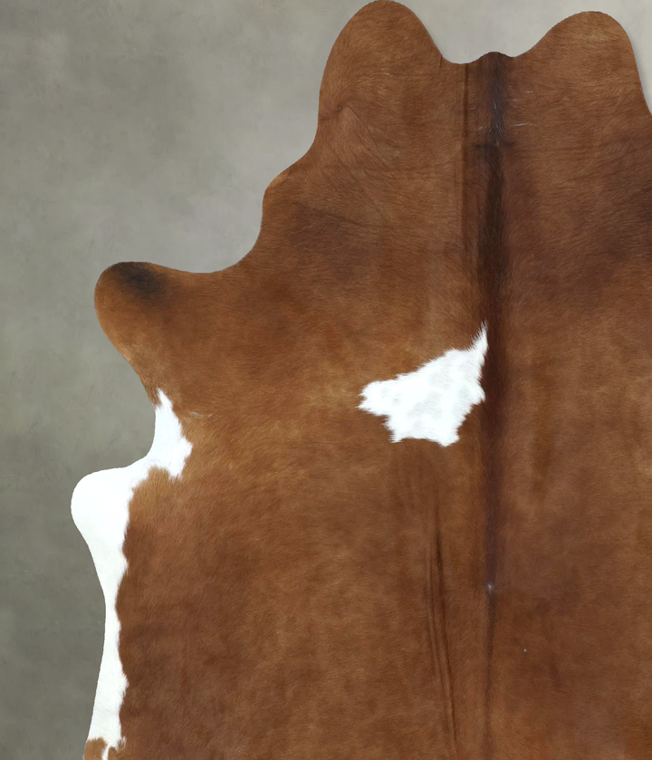 Brown and White Regular XX-Large Brazilian Cowhide Rug 7'11"H x 6'7"W #B20220 by Hudson Hides