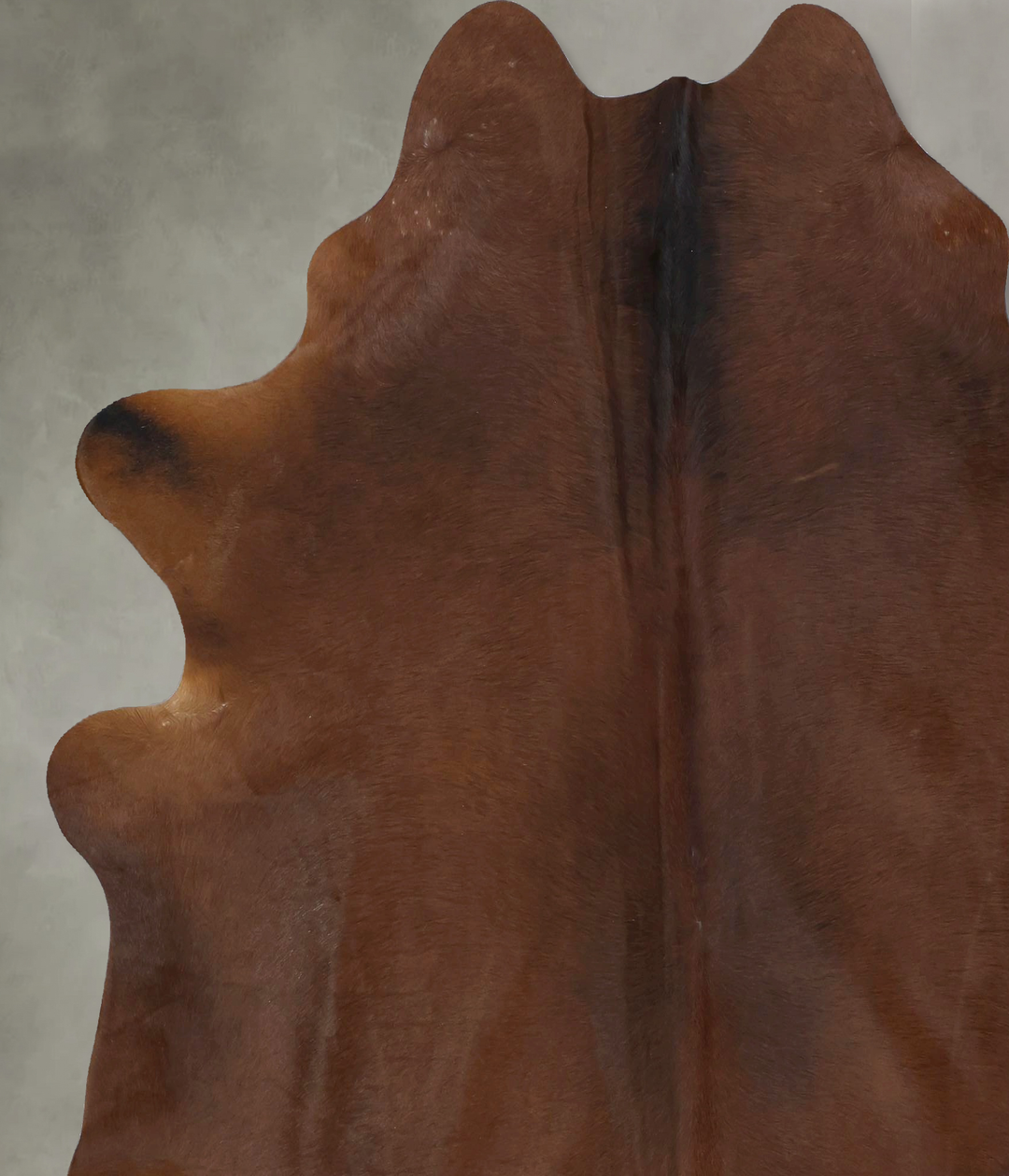 Warm Caramel X-Large Brazilian Cowhide Rug 7'3"H x 6'7"W #B20221 by Hu