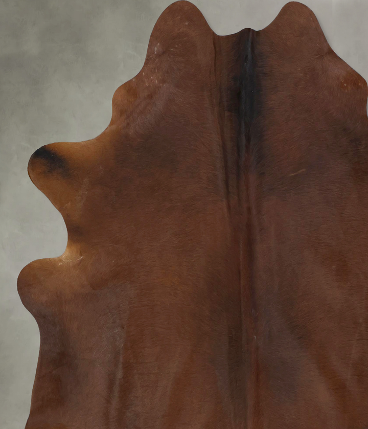 Warm Caramel X-Large Brazilian Cowhide Rug 7'3"H x 6'7"W #B20221 by Hudson Hides