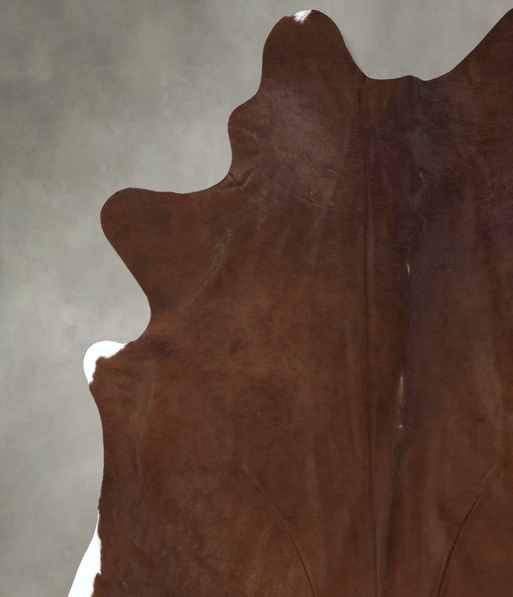Solid Brown XX-Large Brazilian Cowhide Rug 8'8"H x 7'2"W #B20224 by Hudson Hides