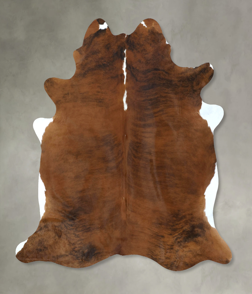 Medium Brindle X-Large Brazilian Cowhide Rug 7'5"H x 6'6"W #B20225 by Hudson Hides